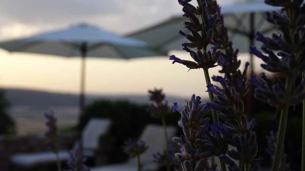 Hotel Cardamomo Sigueenza Carabias  Zewnętrze zdjęcie