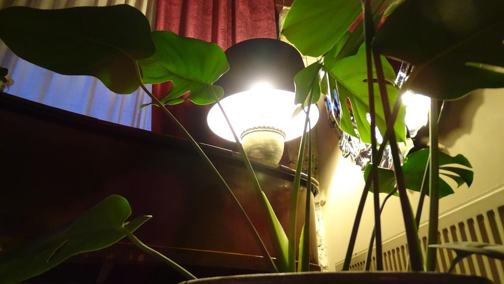 Hotel Cardamomo Sigueenza Carabias  Zewnętrze zdjęcie
