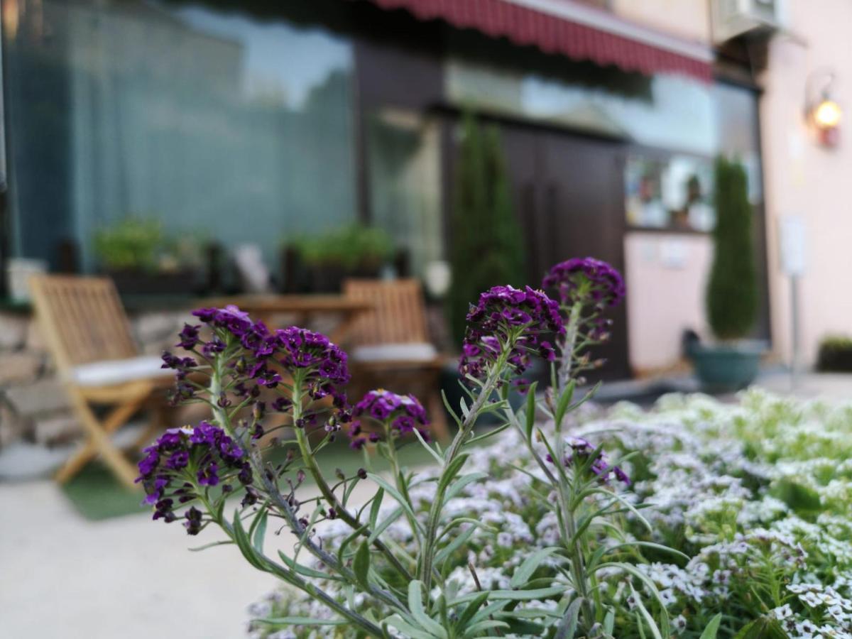 Hotel Cardamomo Sigueenza Carabias  Zewnętrze zdjęcie